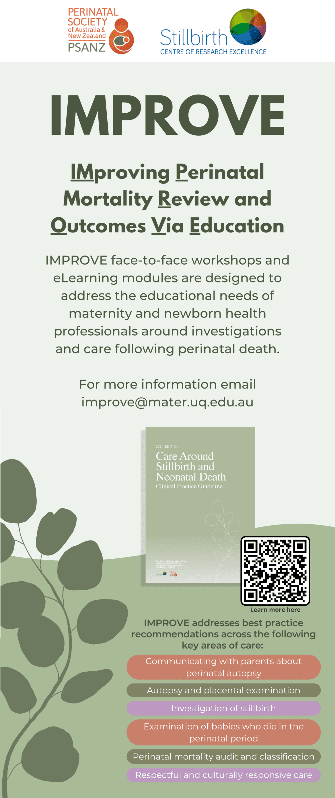 Improved Programs Expansion and enhancement of the IMproving Perinatal Mortality Review ...