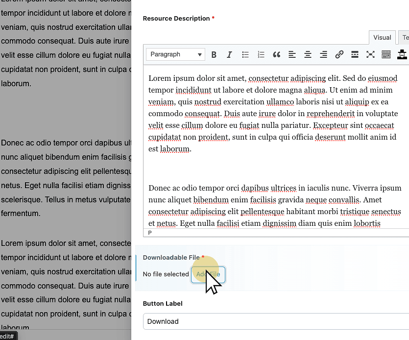 Select Downloadable File
