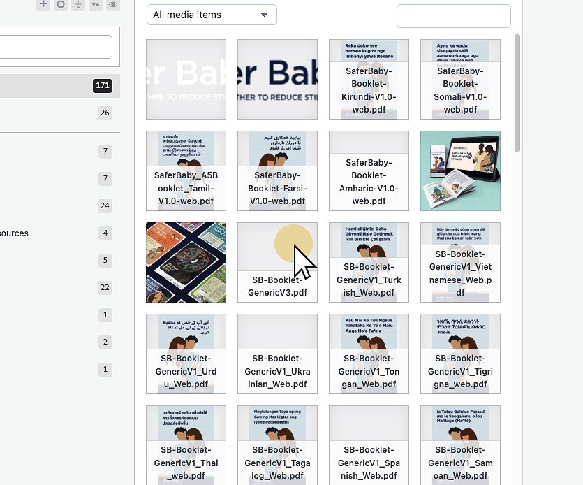 Select "SB-Booklet-GenericV3.pdf"